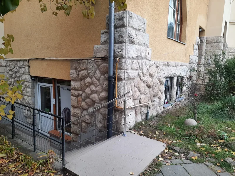 Intrarea în cabinetul Zoo Medica, cu scări și zid de piatră